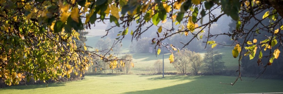 Sobald es was Neues zu berichten gibt, melden wir uns&nbsp;!